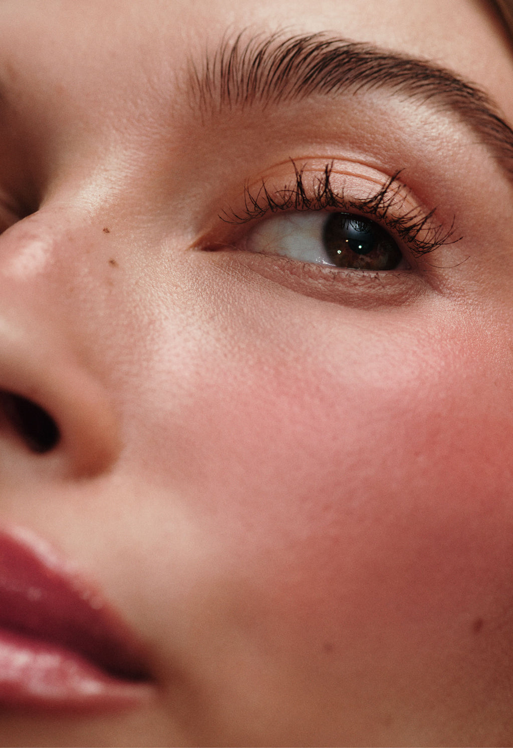 Rhode pocket cream blush|Shade frackle